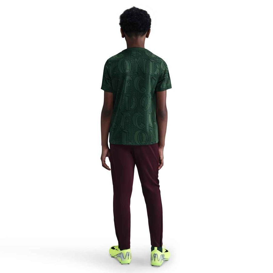 Chelsea Training T-Shirt Dri-FIT Academy Pro Pre Match - Galactic Jade/Outdoor Green Kids-SoccerKits Hub | Buy Soccer Jerseys Online